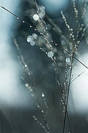 网传黑曜石《宣誓》或将于2023年Q1＆Q2推出